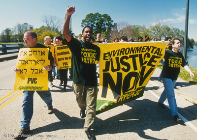 Damu Smith Environment Justice